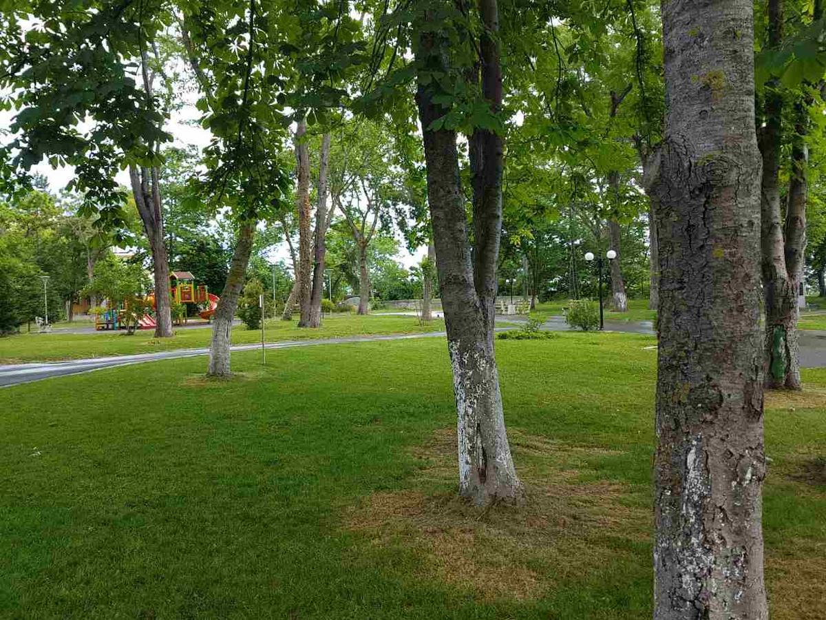 Villa Salena Primorsko Extérieur photo
